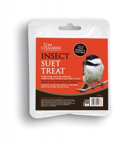 SUET TREAT INSECT